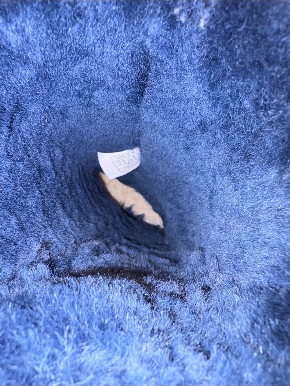 UGG blue classic